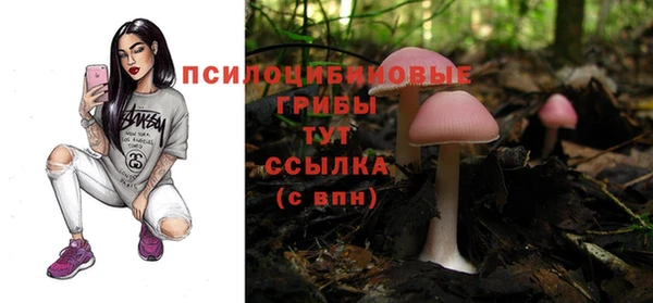 соль курить ск Абаза