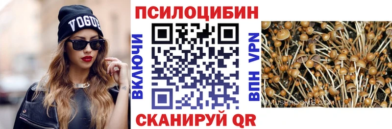 Псилоцибиновые грибы Psilocybine cubensis  Александровск-Сахалинский 